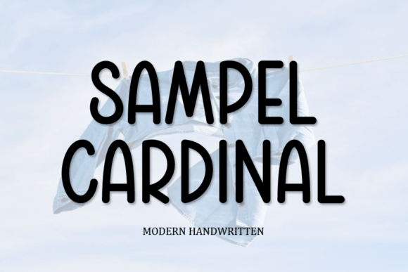 Sampel Cardinal: A Display Font That Makes Campaigns Stop and Look