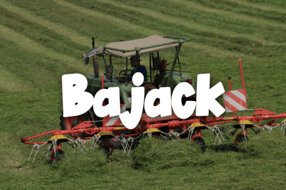 Why Bajack Belongs in Your Branding Toolkit